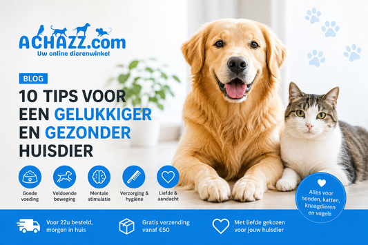 10 Tips voor een gelukkiger en gezonder huisdier