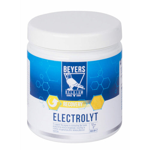 Beyers - Elektrolyt 500g