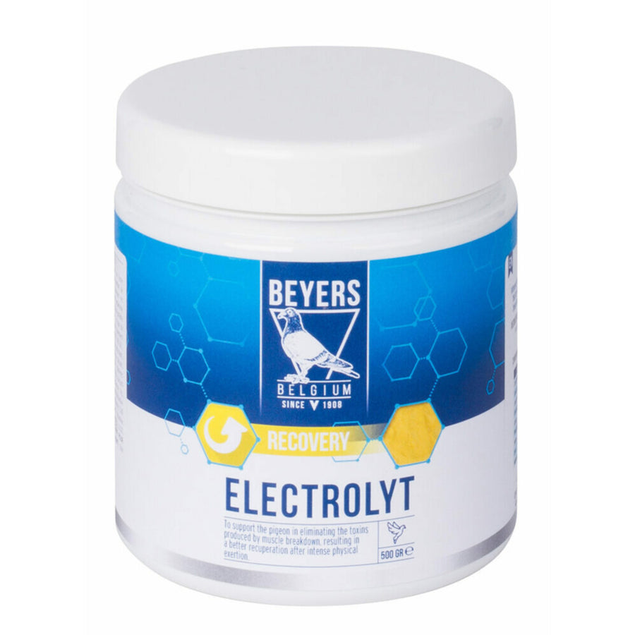Beyers - Elektrolyt 500g