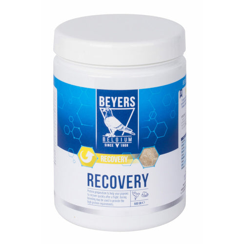 Beyers - Recovery 600g