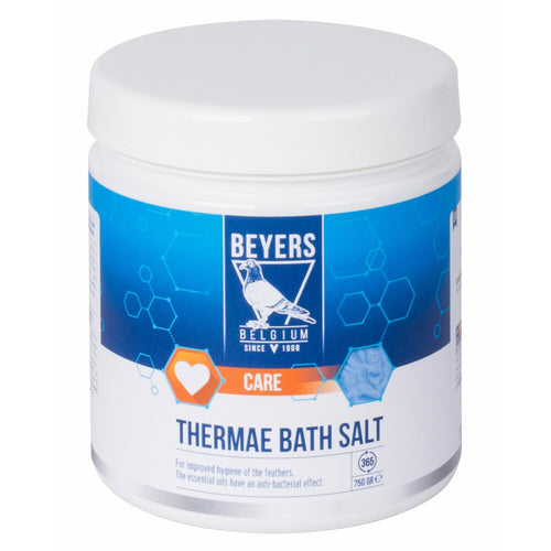 Beyers - Thermae Badzout 750g
