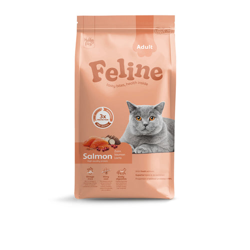 Hobby First - Feline Kattenvoer Droog Adult Zalm - 1,5kg