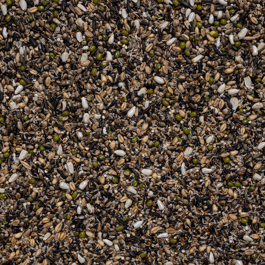 Deli Nature - Kiemzaad Europese Vogels Supreme Nummer 38 - 15kg