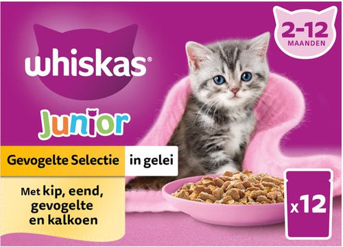 Whiskas - Junior Multipack Gevogelte Selectie in Gelei - 12 x 85g