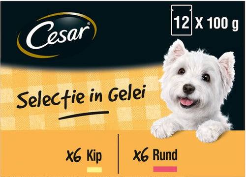 Cesar - Maaltijdzakjes Multipack Adult In Gelei - Hondenvoer - 12 stuks
