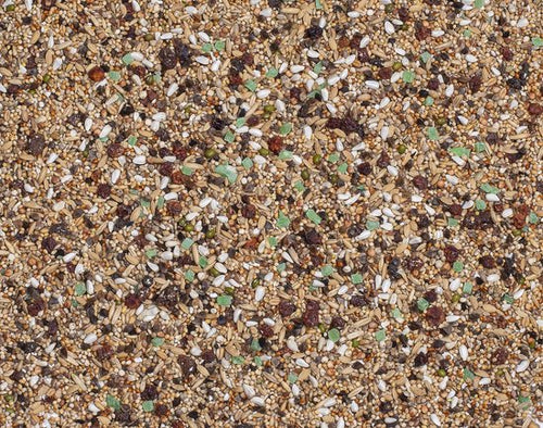 Deli Nature - Grote Parkiet Supreme Fruit 20kg