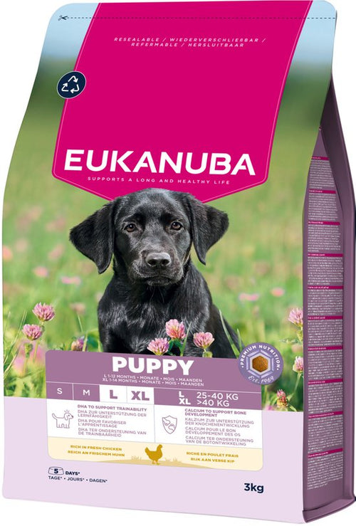 Eukanuba - Puppy Large Breed Kip - Hondenbrokken - 3kg