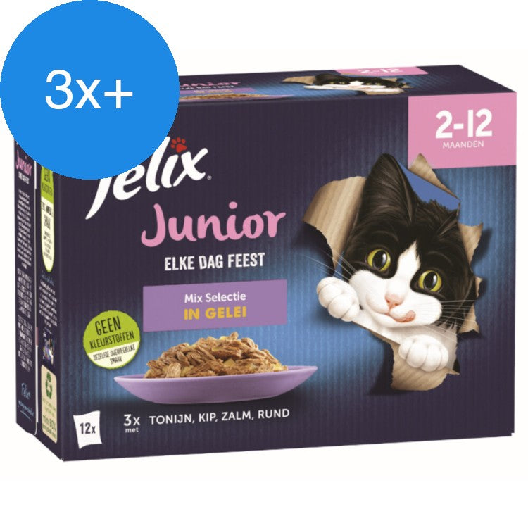 Felix - Elke Dag Feest Mix Selectie in Gelei Junior - 12x85g - Voordeelbundel