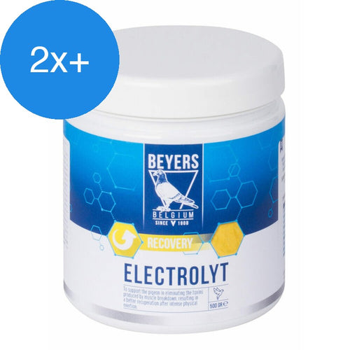 Beyers - Elektrolyt 500g - Voordeelbundel