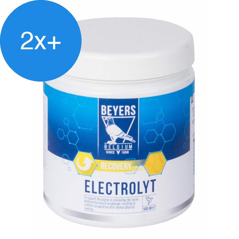 Beyers - Elektrolyt 500g - Voordeelbundel