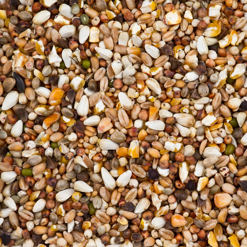 Deli Nature - Dovix Tortelduif 20kg