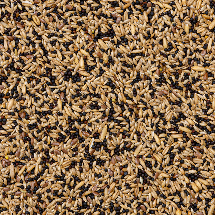 Deli Nature - Zangzaad Basis Nummer 50 20kg