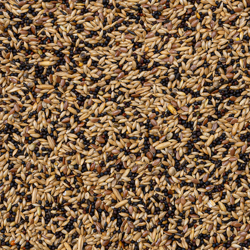 Deli Nature - Zangzaad Extra Nummer 53 20kg
