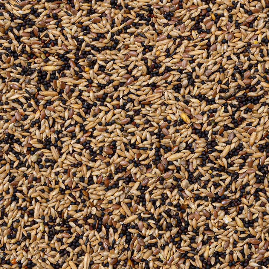 Deli Nature - Zangzaad Extra Nummer 53 20kg