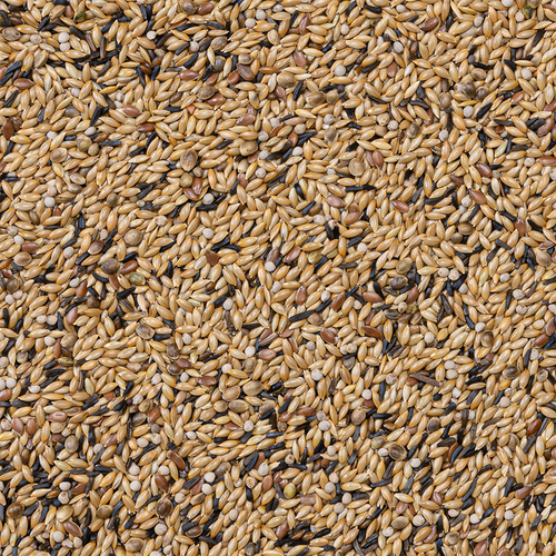 Deli Nature - Kanarie Kweek Witte Perilla Nummer 54 20kg