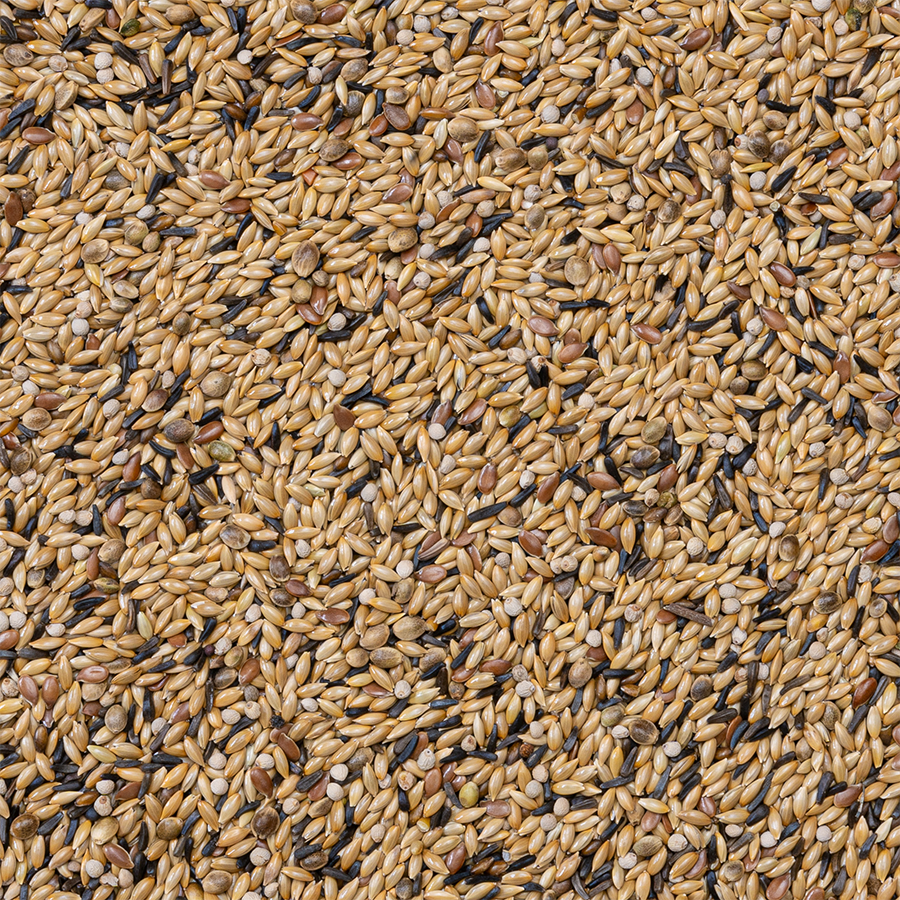 Deli Nature - Kanarie Kweek Witte Perilla Nummer 54 20kg