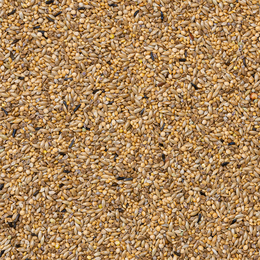 Deli Nature - Zebravink Supreme 20kg