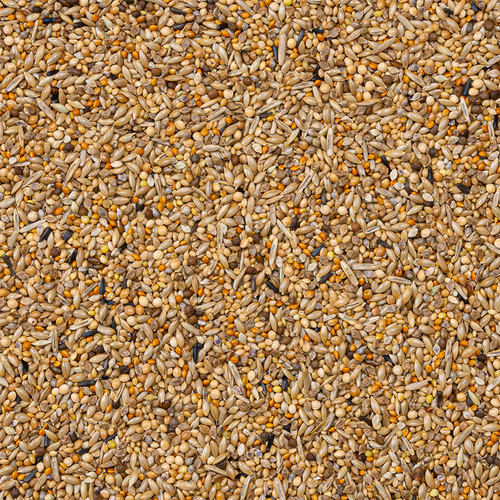 Deli Nature - APV Gould Exoten Nummer 84 20kg