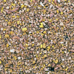 Cédé - Protein Mix - Vogelvoer - 1kg