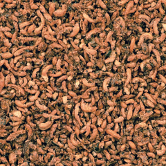 Cédé - Insectenvoer Honing & Bessen - Vogelvoer - 600g